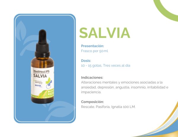 SALVIA - Image 2