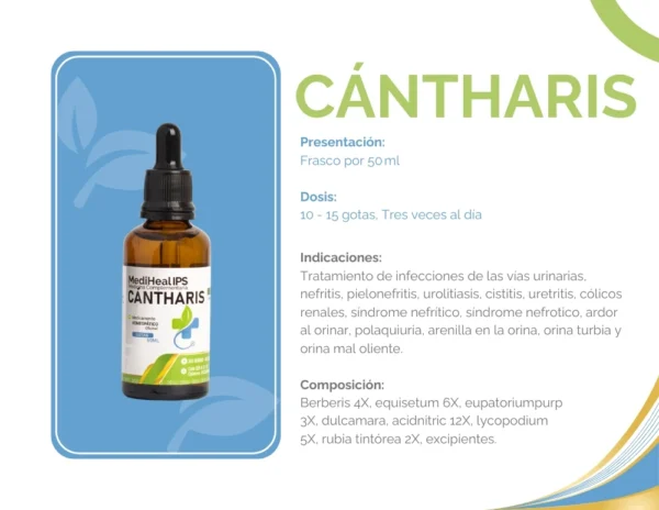 CANTHARIS - Image 2