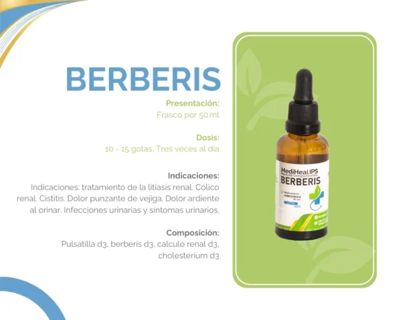 BERBERIS - Image 2