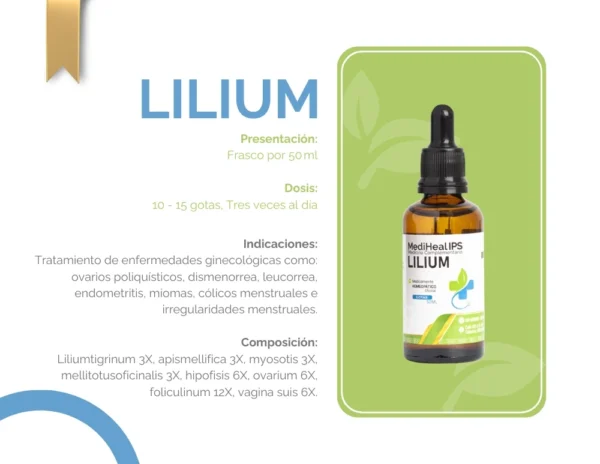 LILIUM - Image 2