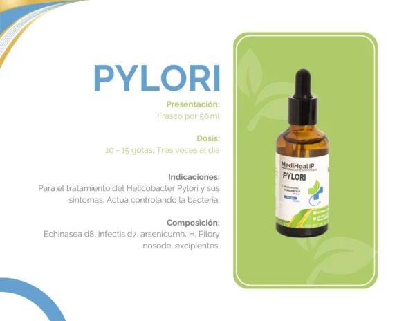PILORY - Image 2