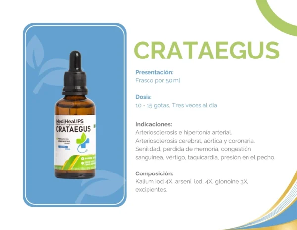 CRATAEGUS - Image 2