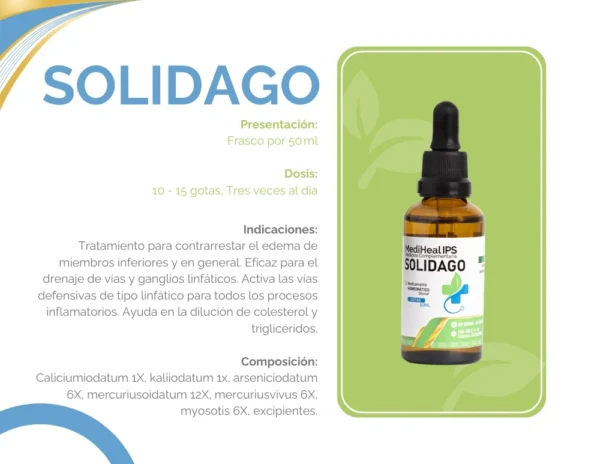 SOLIDAGO - Image 2
