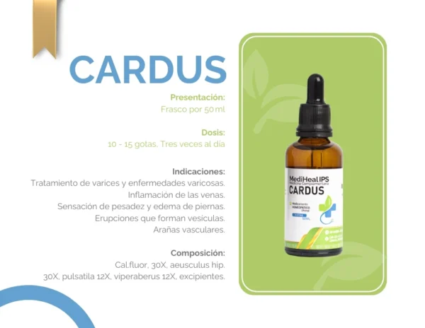 CARDUS - Image 2