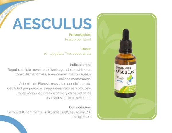 AESCULUS - Image 2