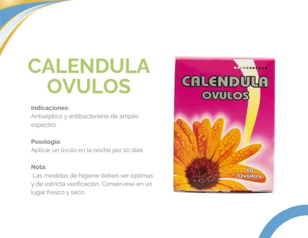 Calendulas - Image 2