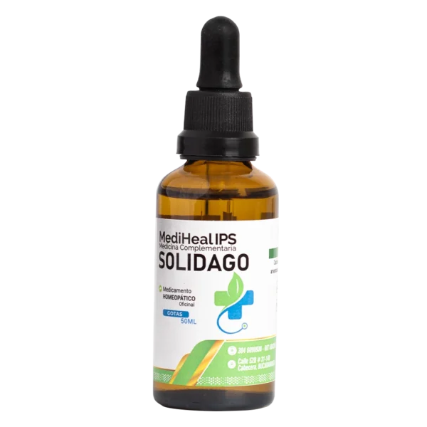 SOLIDAGO
